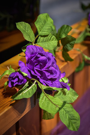 SMS_9254